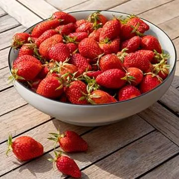 Wareland Large Serving Bowls, 85 Ounce Big Salad Bowls, 10 Inch White Ceramic Fruit Bowl, Pho Bowls Set of 2, Mixing Bowls for Kitchen, Serving Dishes for Entertaining, Microwave & Dishwasher Safe