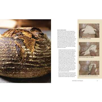Evolutions in Bread: Artisan Pan Breads and Dutch-Oven Loaves at Home [A baking book]
