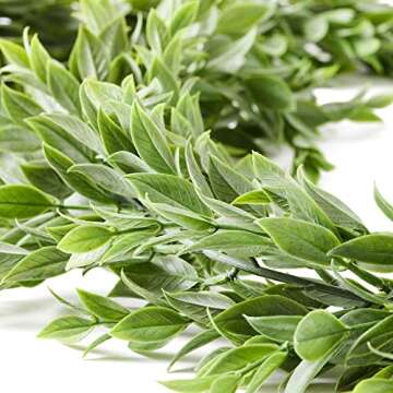 Oh You’re Lovely 3 pcs Artificial Ruscus Leaves Greenery