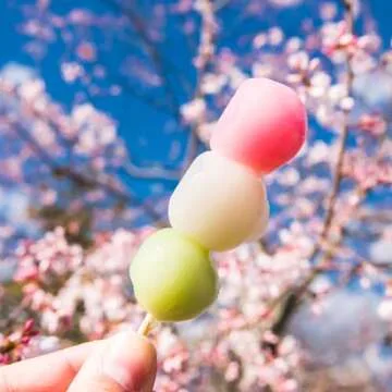 Mochiko Japanese Traditional Sweet Rice Flour (Pack of 2) Make your own chewy Mochi