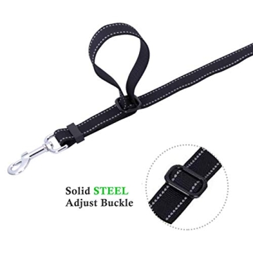 Innovative Dual Dog Leash Coupler for Tangle-Free Walks