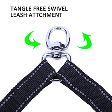 Innovative Dual Dog Leash Coupler for Tangle-Free Walks