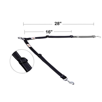 Innovative Dual Dog Leash Coupler for Tangle-Free Walks