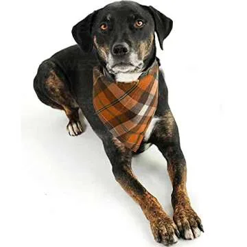 Realeaf Thanksgiving Fall Dog Bandanas 2 Pack, Orange Plaid Pet Scarf for Boy and Girl, Premium Durable Fabric, Holiday Halloween Bandana for Medium and Large Dogs (Large)