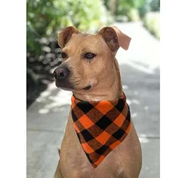 Realeaf Thanksgiving Fall Dog Bandanas 2 Pack, Orange Plaid Pet Scarf for Boy and Girl, Premium Durable Fabric, Holiday Halloween Bandana for Medium and Large Dogs (Large)