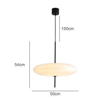 Stylish Brikey 19.7'' Nordic Acrylic Pendant Light for Home