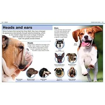 Pocket Genius: Dogs: Facts at Your Fingertips