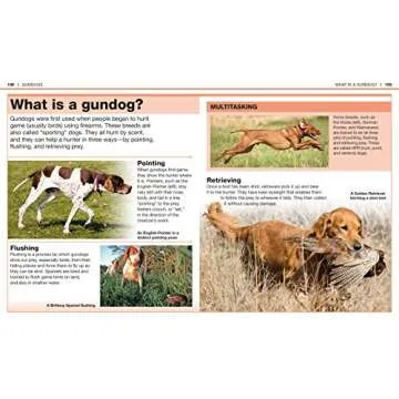 Pocket Genius: Dogs: Facts at Your Fingertips