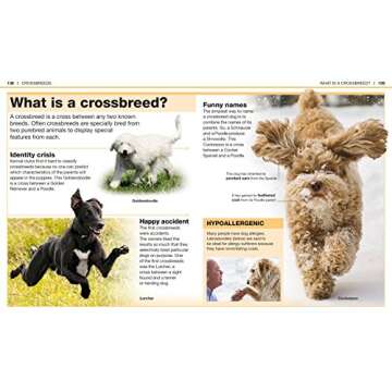 Pocket Genius: Dogs: Facts at Your Fingertips