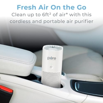 Best Portable Air Purifier - Pure Enrichment PureZone Mini