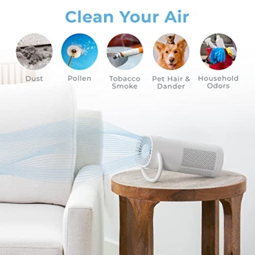 Best Portable Air Purifier - Pure Enrichment PureZone Mini