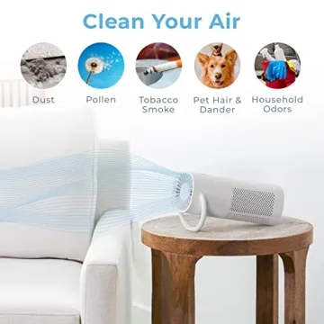 Best Portable Air Purifier - Pure Enrichment PureZone Mini