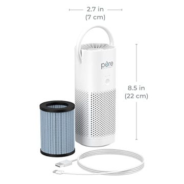 Best Portable Air Purifier - Pure Enrichment PureZone Mini
