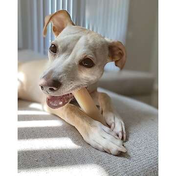 Nylabone Power Chew Original Bone - Durable & Tough Chew Toys for Aggressive Chewers - Durable Dog T...