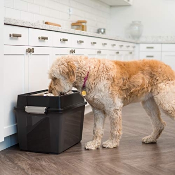 Elevated Dog Bowls with Storage for Large Dogs by IRIS