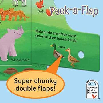 Durable Peek-a-Flap Noah Board Book for Toddlers - Perfect Gift