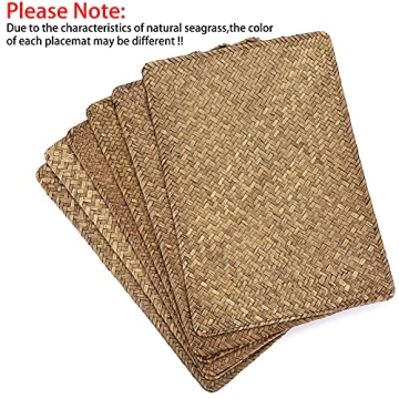 OwnMy Seagrass Placemats Set of 6 - Stylish & Durable