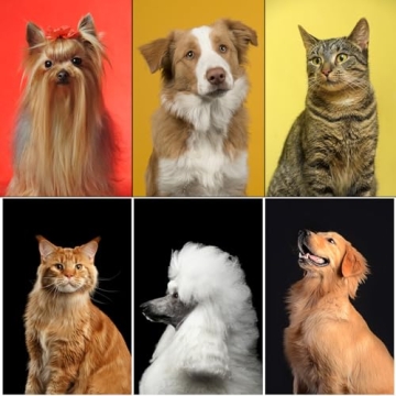 Complete 9PCS Grooming Kit for Dogs and Cats - All Breeds