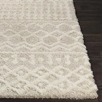 Livabliss Hapsburg 8x10 Shag Area Rug, Soft & Stylish