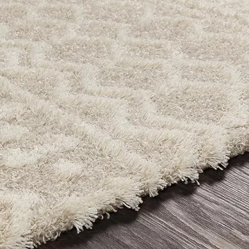 Livabliss Hapsburg 8x10 Shag Area Rug, Soft & Stylish