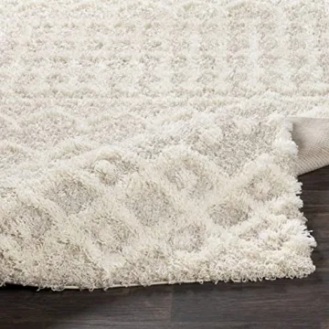 Livabliss Hapsburg 8x10 Shag Area Rug, Soft & Stylish