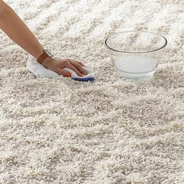 Livabliss Hapsburg 8x10 Shag Area Rug, Soft & Stylish