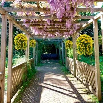 INQCMY Artificial Hanging Flowers in Basket for Patio Garden Decoration,Faux Silk Violet in Planter UV Resistant Realistic for Outside Home Porch Balcony Yard Decor(Yellow)