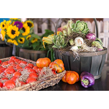 SuperMoss Spanish Moss Dried Natural 8 Ounces for Decor