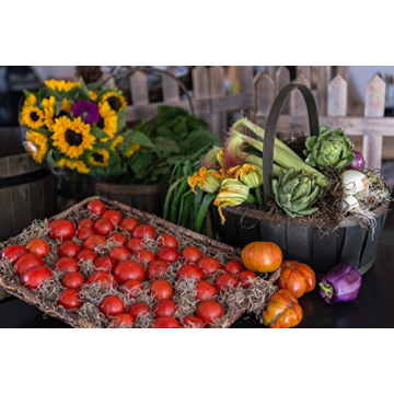 SuperMoss Spanish Moss Dried Natural 8 Ounces for Decor