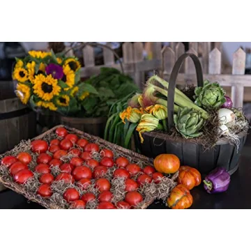 SuperMoss Spanish Moss Dried Natural 8 Ounces for Decor