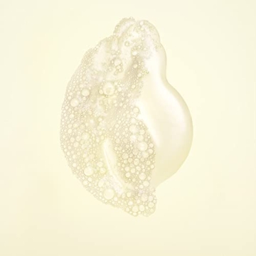 Revitalize Your Hair with Oribe Shampoo and Conditioner