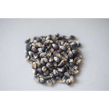 Amish Country Popcorn | 2 lb Bag | Midnight Blue Popcorn Kernels | Non-GMO, Gluten Free