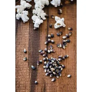 Amish Country Popcorn Midnight Blue Kernels 2 lb Bag
