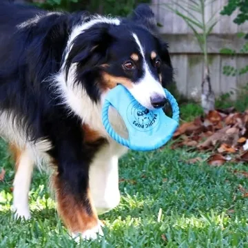 Durable 11-Pack Dog Rope Toy Set for Healthy Playtime