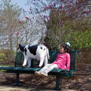 Jet Creations 37" Long Inflatable Cow Toys, Milk White Lifelike Blow-Up Cow Toy Figure for Decoration or Play, Livestock Theme Party, Pool, Birthday, VBS, Photo Prop, Easy to Inflate, 1 pc