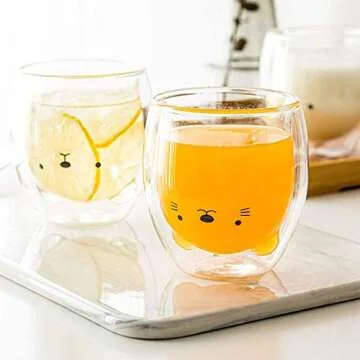 Cute Double Wall Glass Cup for Stylish Sips