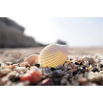 Sony E 15mm F1.4 G Wide-Angle Lens for Creative Photography