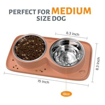 Joyfast Dog Bowls, Cat and Dog Water and Food Dishes Mat Set Stainless Steel Bowls with Non-Slips Re...