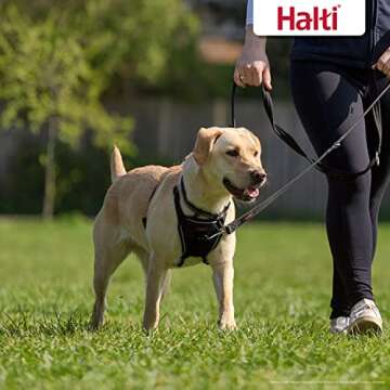 HALTI No Pull Harness - To Stop Your Dog Pulling on the Leash. Adjustable, Lightweight and Easy to Use. Reflective Dog Training Harness for Medium Dogs (Size M)
