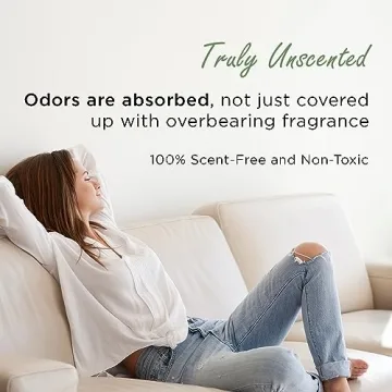 Moso Bamboo Charcoal Air Purifying Bag 600g Odor Eliminator