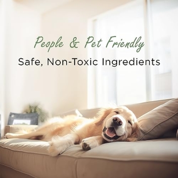 Moso Bamboo Charcoal Air Purifying Bag 600g Odor Eliminator