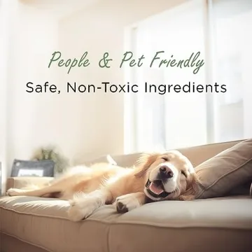 Moso Bamboo Charcoal Air Purifying Bag 600g Odor Eliminator