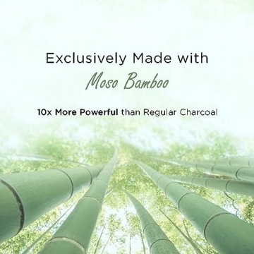 Moso Bamboo Charcoal Air Purifying Bag 600g Odor Eliminator