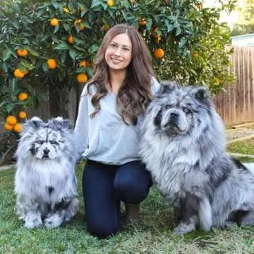 Cuddle Clones Custom Stuffed Animals of Your Pet | Handmade Exact Replica of Your Furry Friend | Keepsakes of Dog, Cat, Bunny & More | Detailed Stuffed Animal Pet Loss Companion