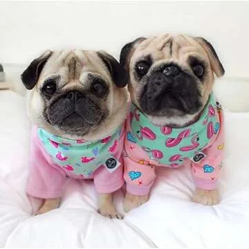 Cuddle Clones Custom Stuffed Animals of Your Pet | Handmade Exact Replica of Your Furry Friend | Keepsakes of Dog, Cat, Bunny & More | Detailed Stuffed Animal Pet Loss Companion