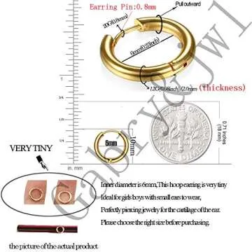316L Surgical Stainless Steel Huggie Hoop Earrings 6mm Gold Hypoallergenic Earrings Hoop Cartilage Helix Lobes Hinged Sleeper Earrings For Men Women(A01:6mm Gold(THK 2.0mm))