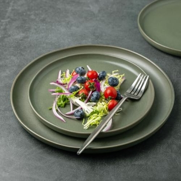 AmorArc Ceramic Dinner Salad Plates Set Elegant Durable Safe