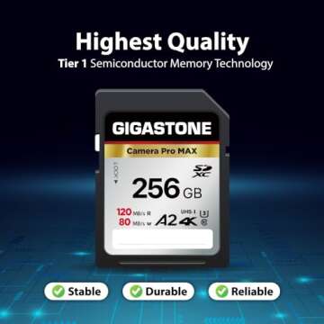 High-Speed GIGASTONE 256GB SD Card for 4K Video