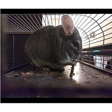 Bojafa 500g Apple Sticks Small Animals Molar Wood Treats Toys for Rabbits Chinchillas Guinea Pig Hamster Gerbil Bunny and Small Animal Chew Stick Toys