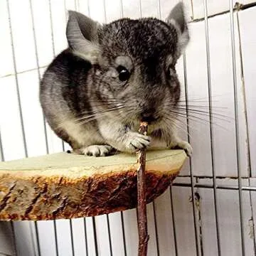 Bojafa 500g Apple Sticks Small Animals Molar Wood Treats Toys for Rabbits Chinchillas Guinea Pig Hamster Gerbil Bunny and Small Animal Chew Stick Toys